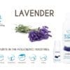 Beautiful Aromas Lavender Concentrates
