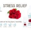 Beautiful Aromas Stress Relief Concentrates