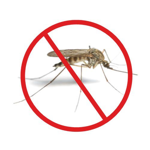 Mosquito Relief